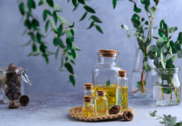 growing-market-of-organic-extract-oils-scaled